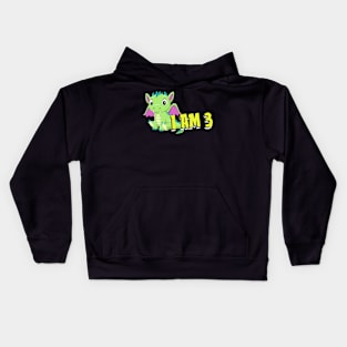 Baby Dragon 3 Years Child Birthday Kids Hoodie